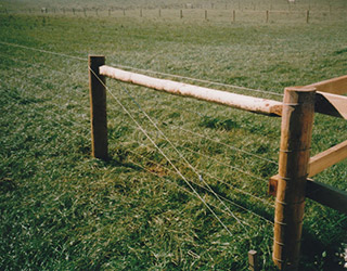 Fencing Stakes and Posts